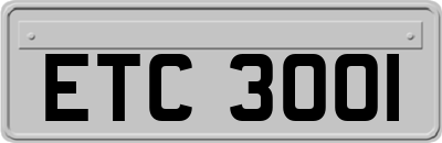 ETC3001