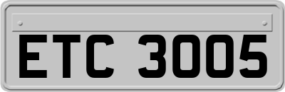 ETC3005