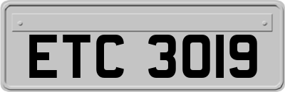 ETC3019