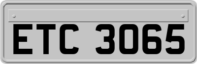 ETC3065