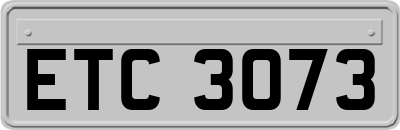 ETC3073