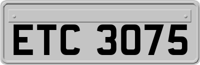 ETC3075