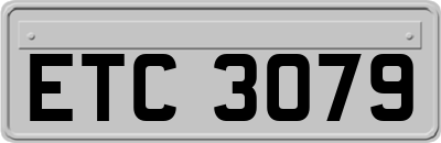 ETC3079