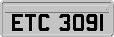 ETC3091
