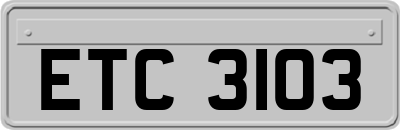 ETC3103