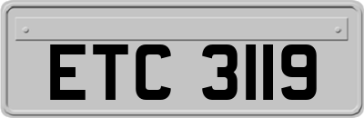 ETC3119