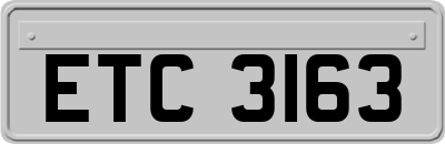 ETC3163