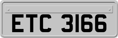 ETC3166