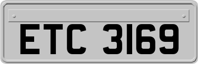 ETC3169