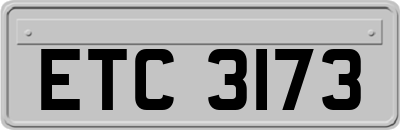 ETC3173
