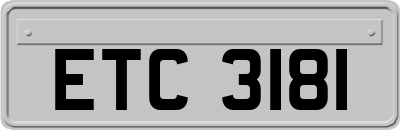 ETC3181