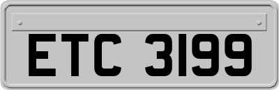 ETC3199