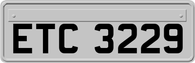 ETC3229