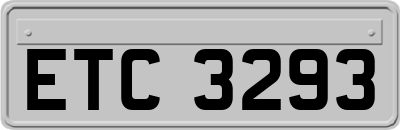 ETC3293