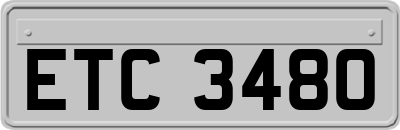 ETC3480