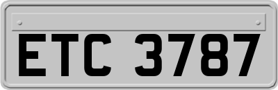 ETC3787