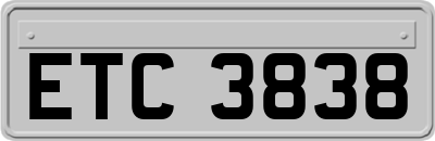 ETC3838