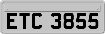 ETC3855