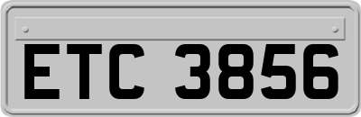 ETC3856