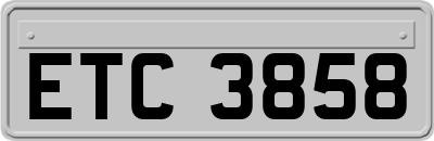 ETC3858