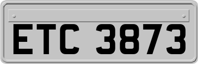 ETC3873
