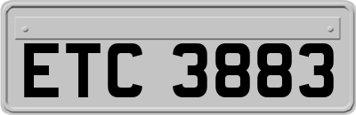 ETC3883