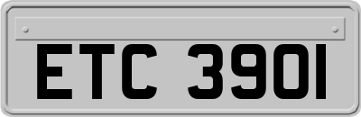 ETC3901