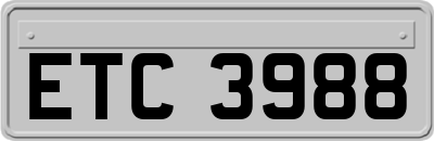 ETC3988
