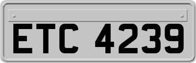 ETC4239