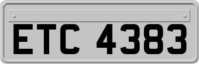 ETC4383