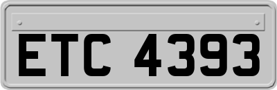 ETC4393