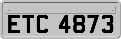 ETC4873