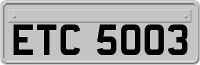 ETC5003