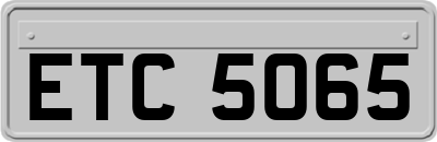 ETC5065