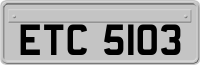 ETC5103