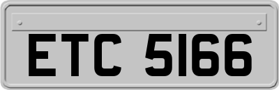 ETC5166