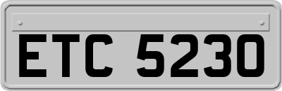 ETC5230