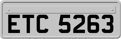ETC5263