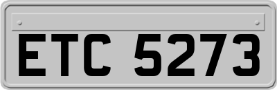 ETC5273