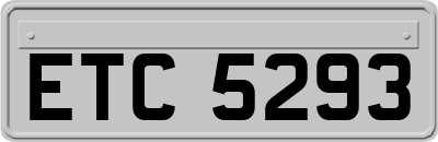 ETC5293