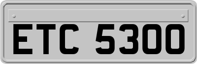 ETC5300