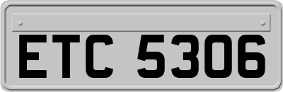 ETC5306