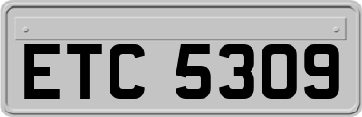ETC5309