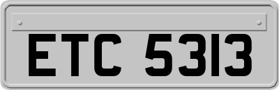 ETC5313