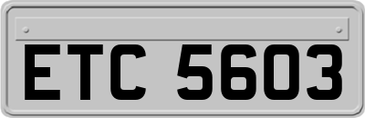 ETC5603