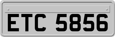 ETC5856