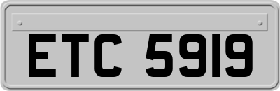 ETC5919