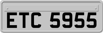 ETC5955