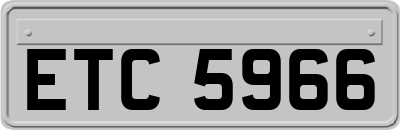 ETC5966