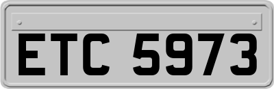 ETC5973